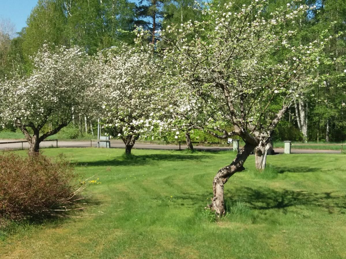 Myb&B & Guesthouse Lonneberga-Silverdalen Luaran gambar
